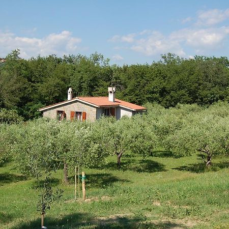 Villa Olivahouse Marezige Esterno foto