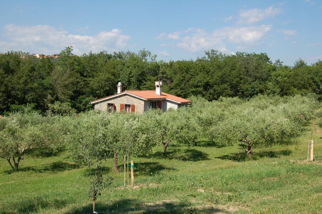 Villa Olivahouse Marezige Esterno foto
